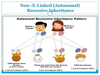 Non–X-Linked (Autosomal)
Recessive Inheritance
 