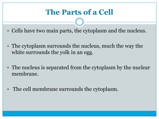 The Parts of a Cell
 Cells have two main parts, the cytoplasm and the nucleus.
 The cytoplasm surrounds the nucleus, much the way the
white surrounds the yolk in an egg.
 The nucleus is separated from the cytoplasm by the nuclear
membrane.
 The cell membrane surrounds the cytoplasm.
 