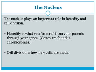 The Nucleus
The nucleus plays an important role in heredity and
cell division.
 Heredity is what you "inherit" from your parents
through your genes. (Genes are found in
chromosomes.)
 Cell division is how new cells are made.
 