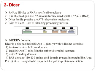 Gene silencing | PPTX