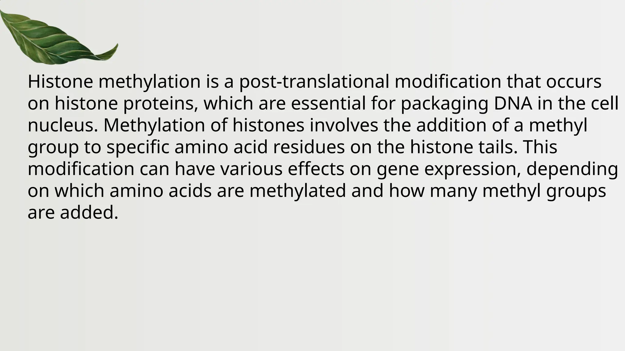 Histone methylation is a post-translational modification that occurs
on histone proteins, which are essential for packaging DNA in the cell
nucleus. Methylation of histones involves the addition of a methyl
group to specific amino acid residues on the histone tails. This
modification can have various effects on gene expression, depending
on which amino acids are methylated and how many methyl groups
are added.
 