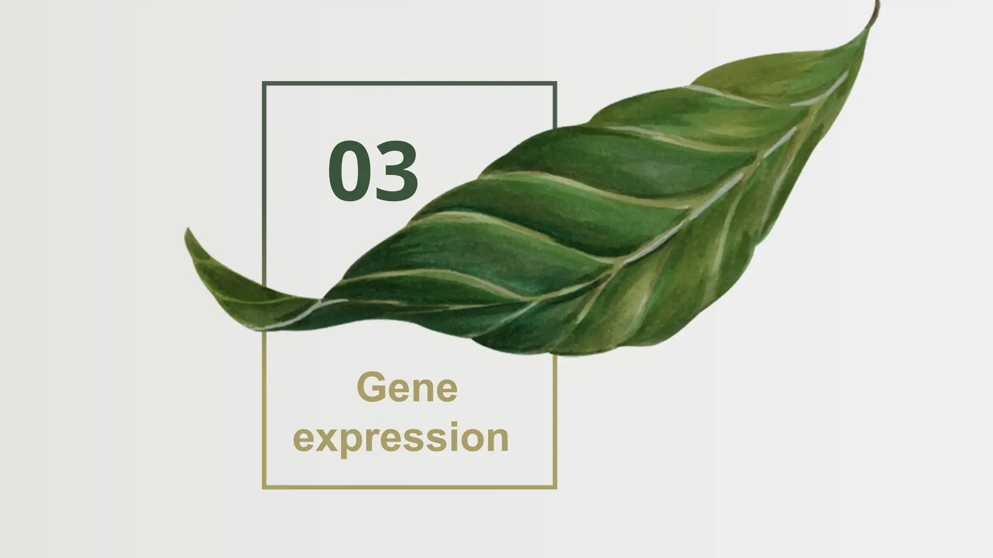 03
Gene
expression
 