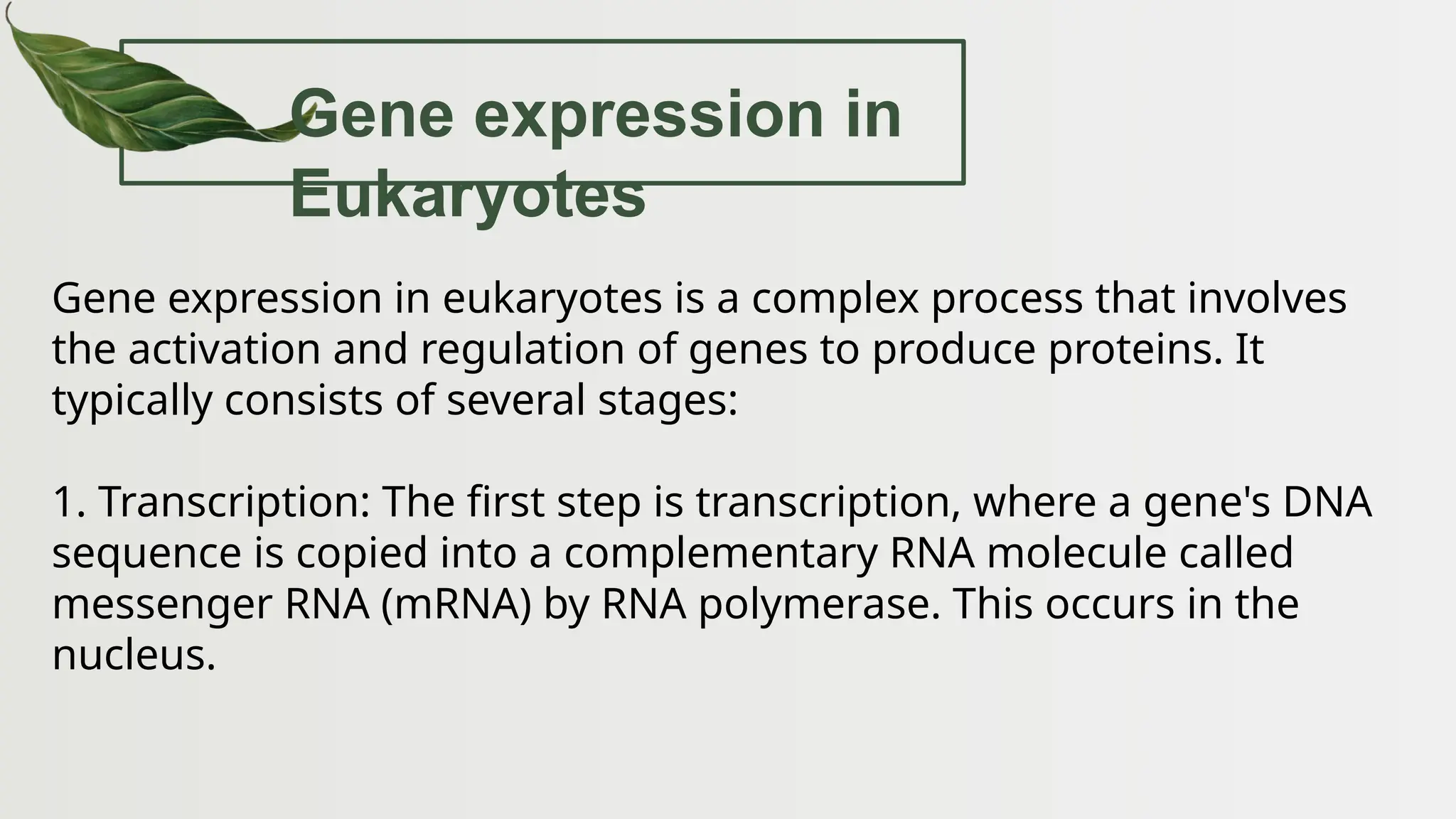 Gene expression in
Eukaryotes
Gene expression in eukaryotes is a complex process that involves
the activation and regulation of genes to produce proteins. It
typically consists of several stages:
1. Transcription: The first step is transcription, where a gene's DNA
sequence is copied into a complementary RNA molecule called
messenger RNA (mRNA) by RNA polymerase. This occurs in the
nucleus.
 