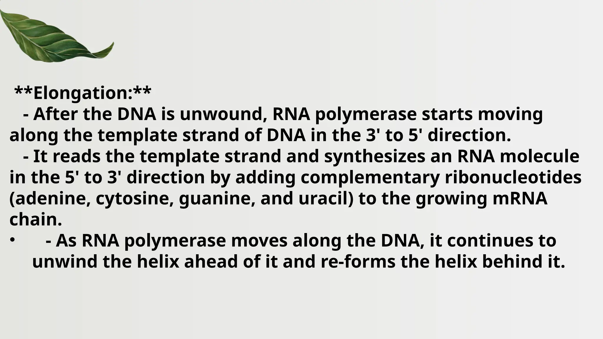 **Elongation:**
- After the DNA is unwound, RNA polymerase starts moving
along the template strand of DNA in the 3' to 5' direction.
- It reads the template strand and synthesizes an RNA molecule
in the 5' to 3' direction by adding complementary ribonucleotides
(adenine, cytosine, guanine, and uracil) to the growing mRNA
chain.
• - As RNA polymerase moves along the DNA, it continues to
unwind the helix ahead of it and re-forms the helix behind it.
 