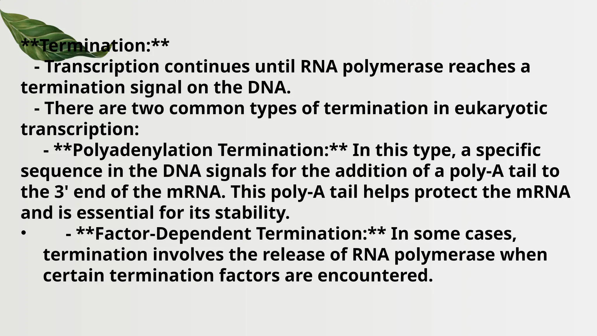 **Termination:**
- Transcription continues until RNA polymerase reaches a
termination signal on the DNA.
- There are two common types of termination in eukaryotic
transcription:
- **Polyadenylation Termination:** In this type, a specific
sequence in the DNA signals for the addition of a poly-A tail to
the 3' end of the mRNA. This poly-A tail helps protect the mRNA
and is essential for its stability.
• - **Factor-Dependent Termination:** In some cases,
termination involves the release of RNA polymerase when
certain termination factors are encountered.
 