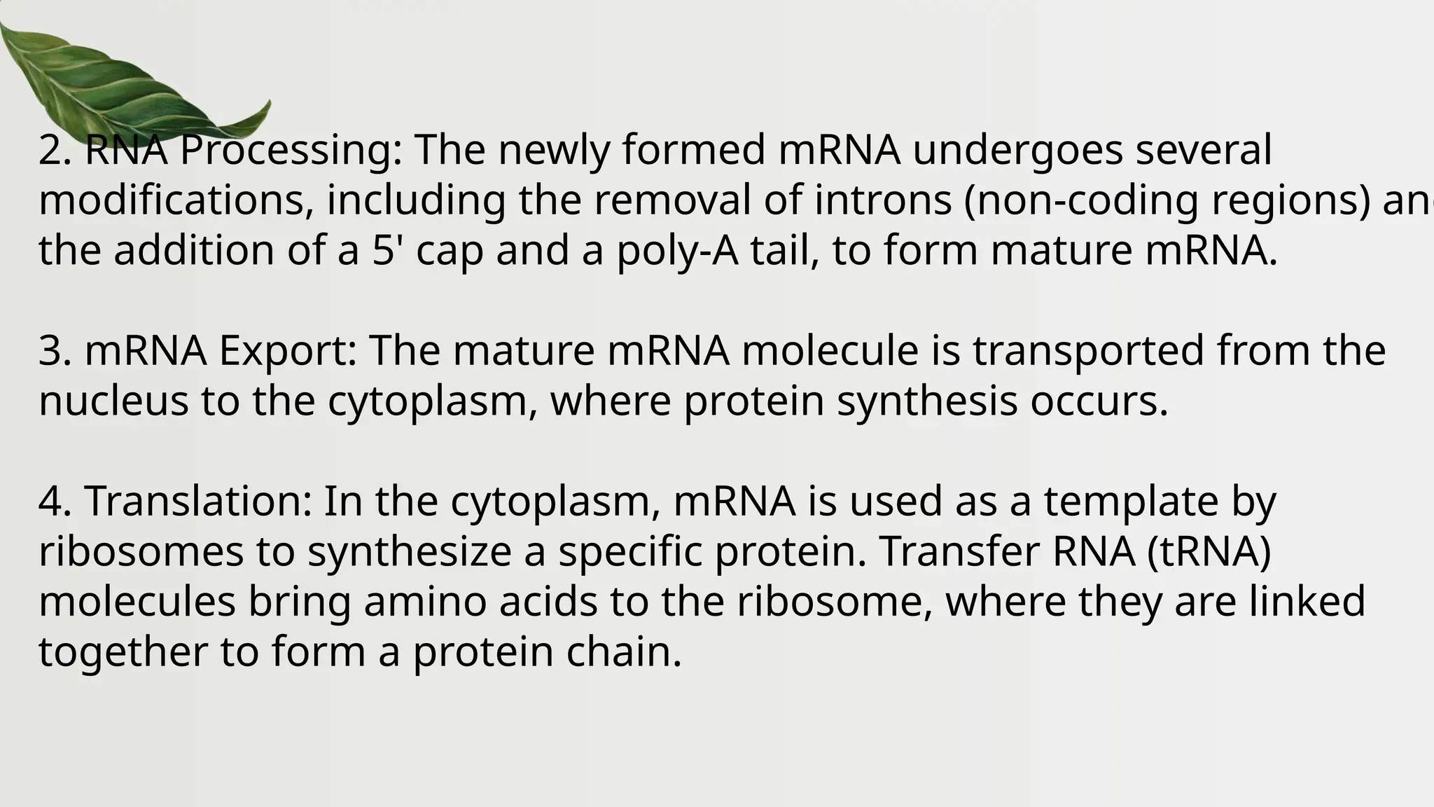 2. RNA Processing: The newly formed mRNA undergoes several
modifications, including the removal of introns (non-coding regions) and
the addition of a 5' cap and a poly-A tail, to form mature mRNA.
3. mRNA Export: The mature mRNA molecule is transported from the
nucleus to the cytoplasm, where protein synthesis occurs.
4. Translation: In the cytoplasm, mRNA is used as a template by
ribosomes to synthesize a specific protein. Transfer RNA (tRNA)
molecules bring amino acids to the ribosome, where they are linked
together to form a protein chain.
 