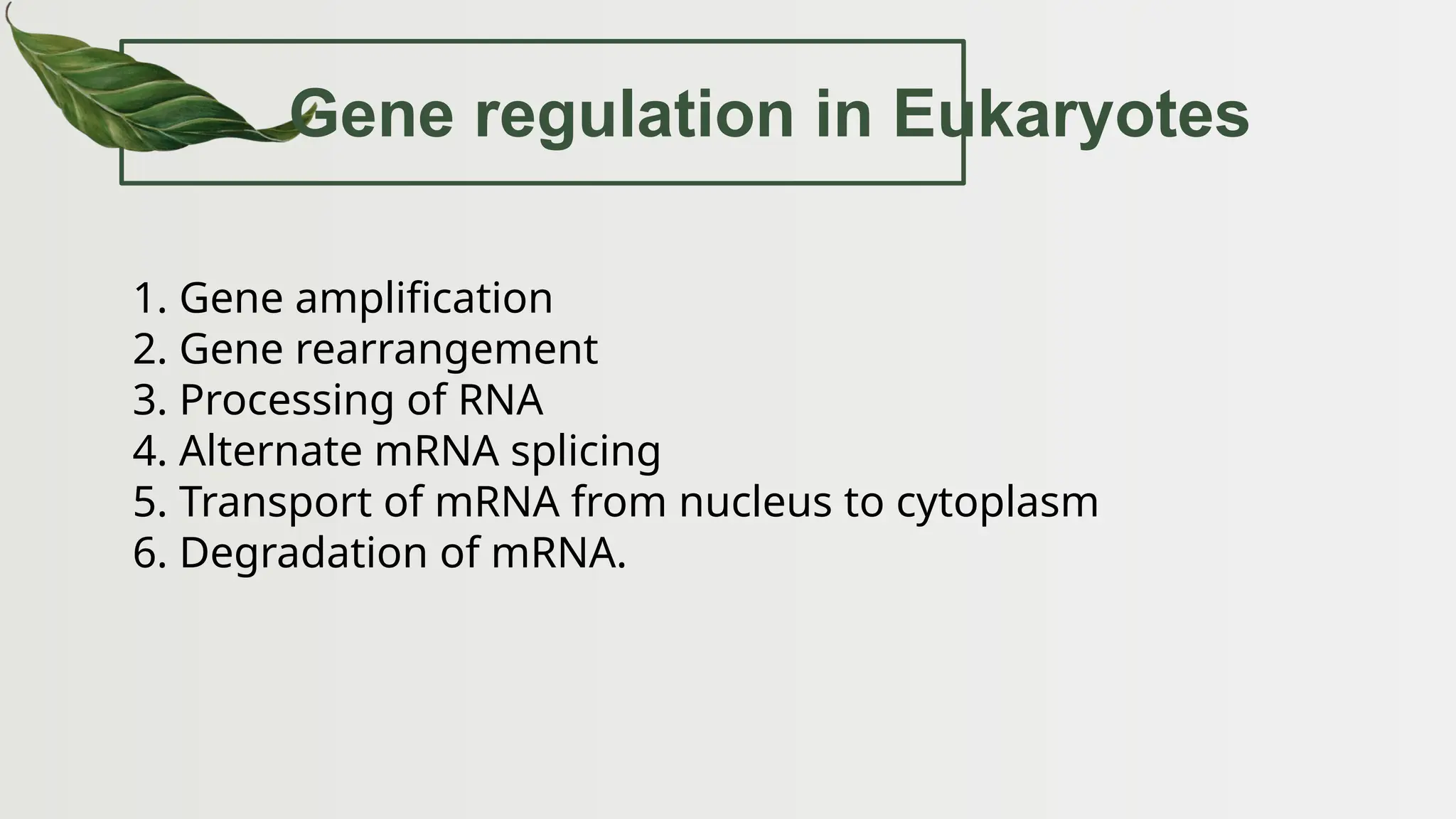 Gene regulation in Eukaryotes
1. Gene amplification
2. Gene rearrangement
3. Processing of RNA
4. Alternate mRNA splicing
5. Transport of mRNA from nucleus to cytoplasm
6. Degradation of mRNA.
 