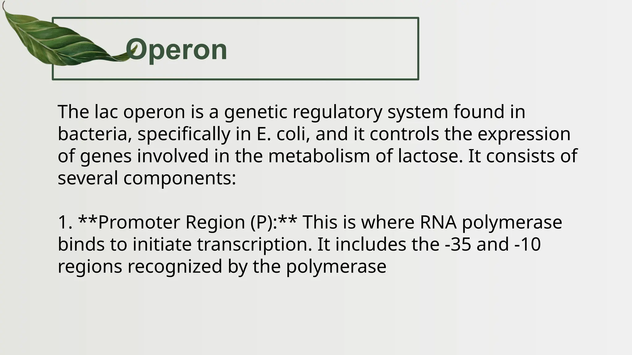 Operon
The lac operon is a genetic regulatory system found in
bacteria, specifically in E. coli, and it controls the expression
of genes involved in the metabolism of lactose. It consists of
several components:
1. **Promoter Region (P):** This is where RNA polymerase
binds to initiate transcription. It includes the -35 and -10
regions recognized by the polymerase
 