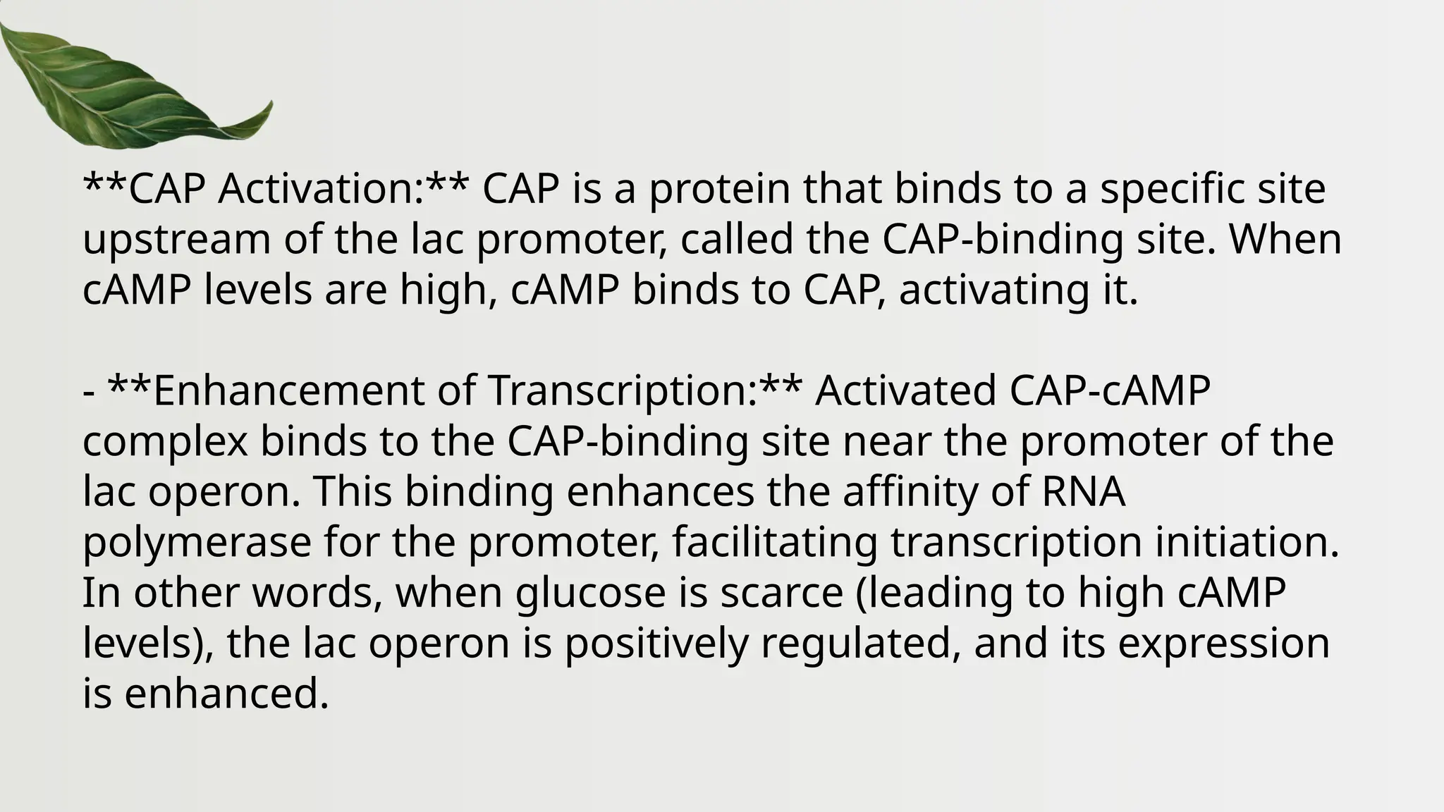 **CAP Activation:** CAP is a protein that binds to a specific site
upstream of the lac promoter, called the CAP-binding site. When
cAMP levels are high, cAMP binds to CAP, activating it.
- **Enhancement of Transcription:** Activated CAP-cAMP
complex binds to the CAP-binding site near the promoter of the
lac operon. This binding enhances the affinity of RNA
polymerase for the promoter, facilitating transcription initiation.
In other words, when glucose is scarce (leading to high cAMP
levels), the lac operon is positively regulated, and its expression
is enhanced.
 