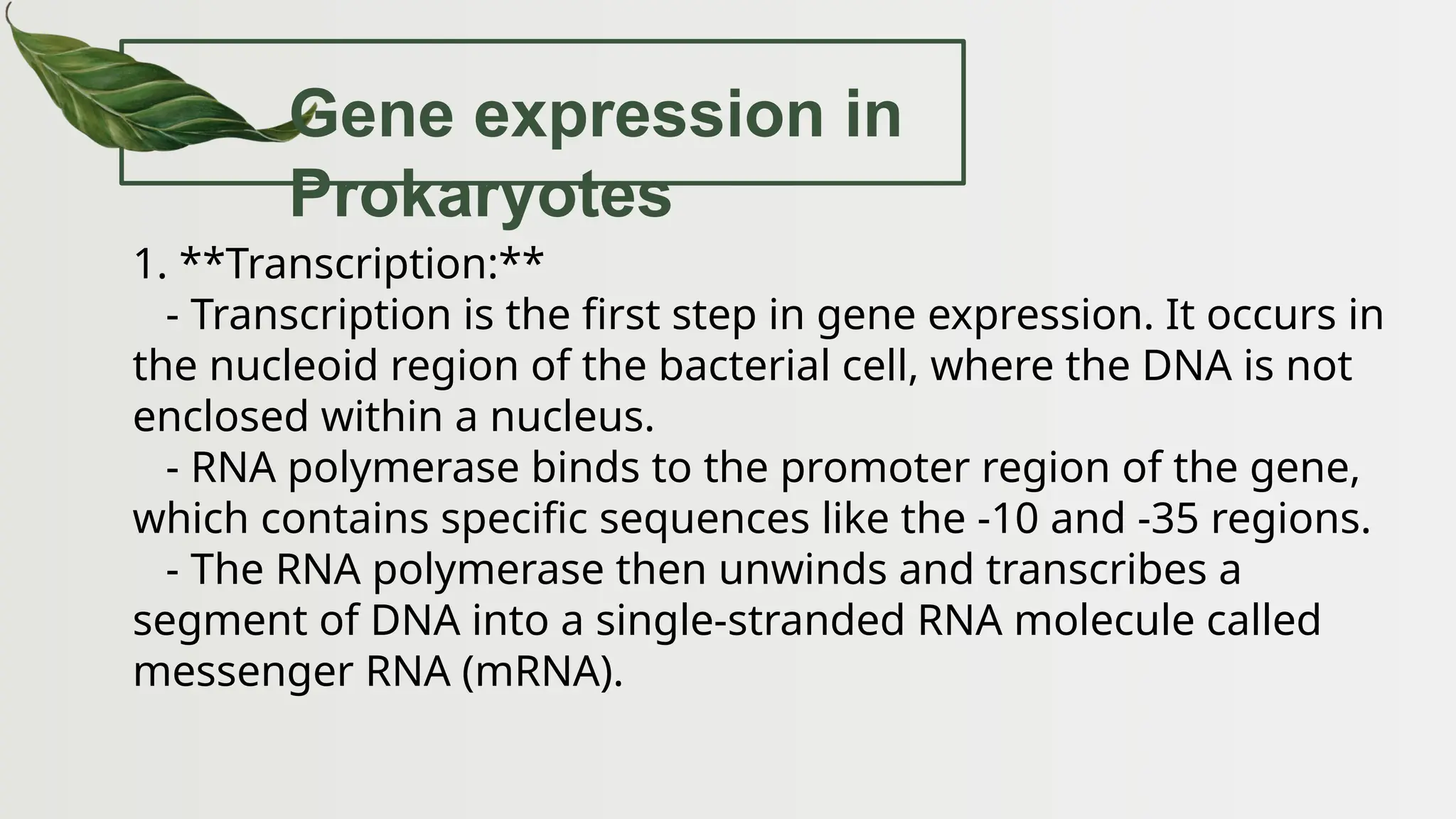 Gene expression in
Prokaryotes
1. **Transcription:**
- Transcription is the first step in gene expression. It occurs in
the nucleoid region of the bacterial cell, where the DNA is not
enclosed within a nucleus.
- RNA polymerase binds to the promoter region of the gene,
which contains specific sequences like the -10 and -35 regions.
- The RNA polymerase then unwinds and transcribes a
segment of DNA into a single-stranded RNA molecule called
messenger RNA (mRNA).
 