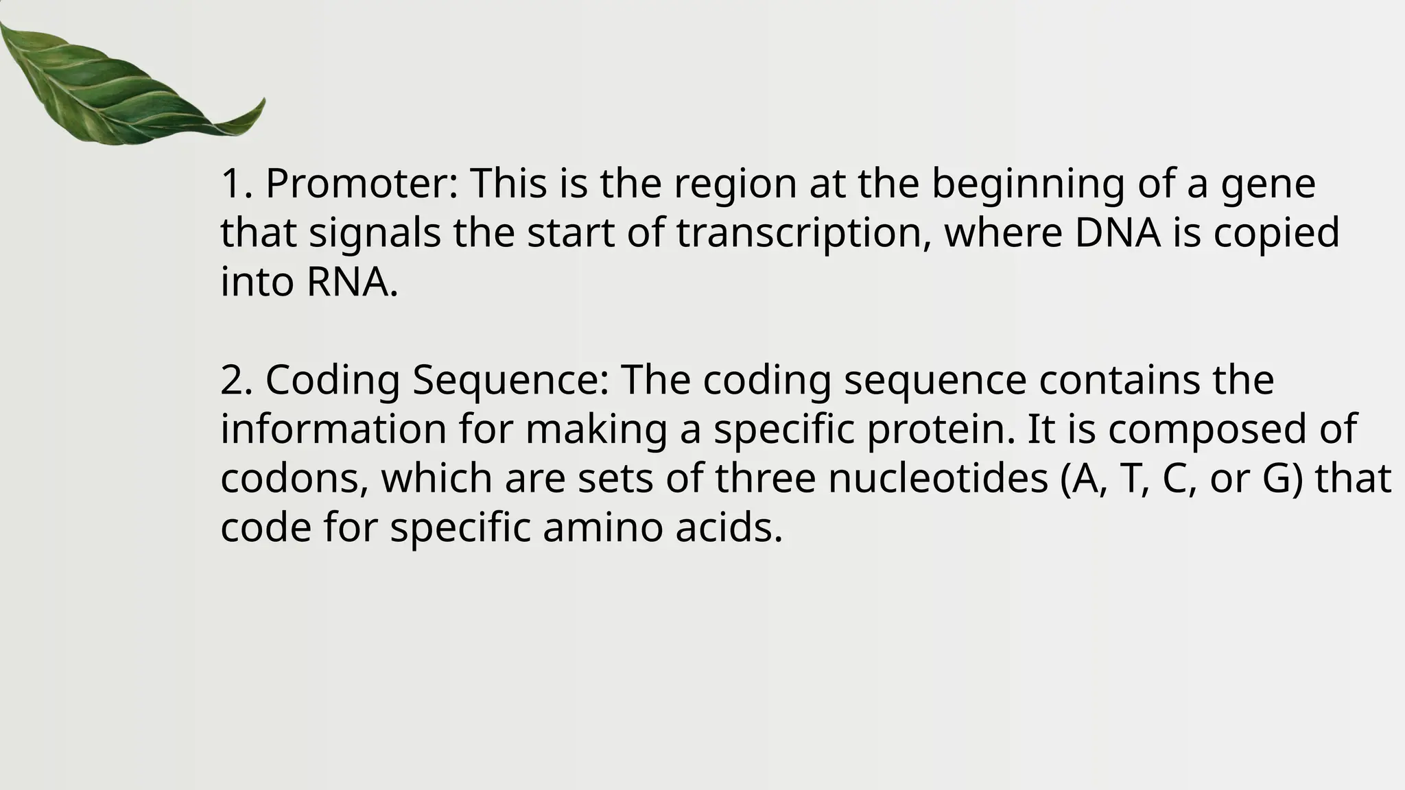 1. Promoter: This is the region at the beginning of a gene
that signals the start of transcription, where DNA is copied
into RNA.
2. Coding Sequence: The coding sequence contains the
information for making a specific protein. It is composed of
codons, which are sets of three nucleotides (A, T, C, or G) that
code for specific amino acids.
 