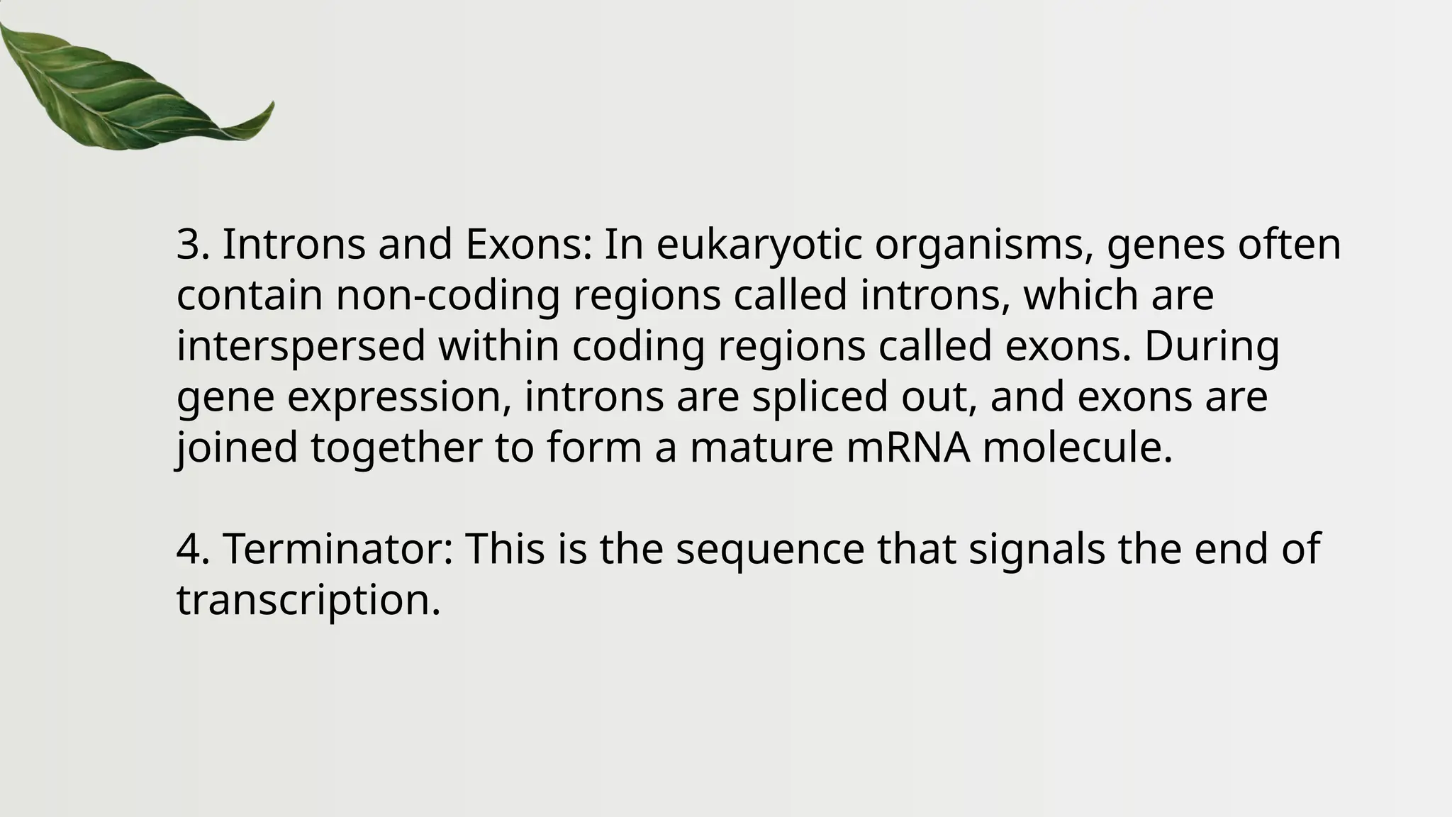 3. Introns and Exons: In eukaryotic organisms, genes often
contain non-coding regions called introns, which are
interspersed within coding regions called exons. During
gene expression, introns are spliced out, and exons are
joined together to form a mature mRNA molecule.
4. Terminator: This is the sequence that signals the end of
transcription.
 