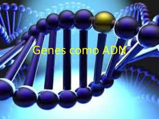 Genes como ADN 
 