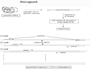 Direct approach
Direct approach
 