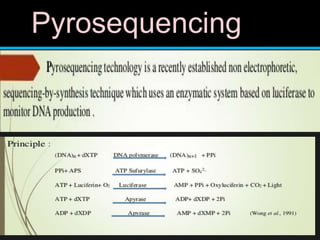 Pyrosequencing
 