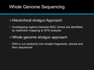 Whole Genome Sequencing
Hierarchical shotgun Approach:
• Overlapping regions between BAC clones are identified
by restriction mapping or STS analysis.
Whole genome shotgun approach:
• DNA is cut randomly into smaller fragments, cloned and
then sequenced
 