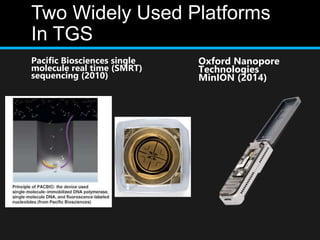 Two Widely Used Platforms
In TGS
Pacific Biosciences single
molecule real time (SMRT)
sequencing (2010)
Oxford Nanopore
Technologies
MinION (2014)
 