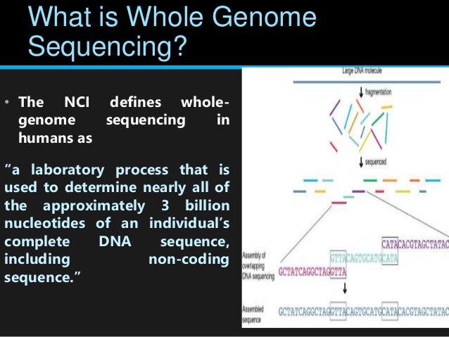 period 2 sequence snapgene period 2 sequence snapgene