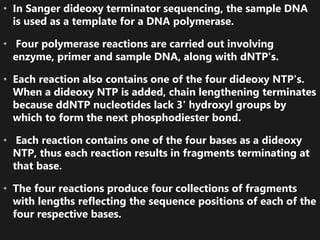 • In Sanger dideoxy terminator sequencing, the sample DNA
is used as a template for a DNA polymerase.
• Four polymerase reactions are carried out involving
enzyme, primer and sample DNA, along with dNTP's.
• Each reaction also contains one of the four dideoxy NTP's.
When a dideoxy NTP is added, chain lengthening terminates
because ddNTP nucleotides lack 3' hydroxyl groups by
which to form the next phosphodiester bond.
• Each reaction contains one of the four bases as a dideoxy
NTP, thus each reaction results in fragments terminating at
that base.
• The four reactions produce four collections of fragments
with lengths reflecting the sequence positions of each of the
four respective bases.
 