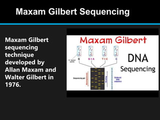 Maxam Gilbert
sequencing
technique
developed by
Allan Maxam and
Walter Gilbert in
1976.
Maxam Gilbert Sequencing
 