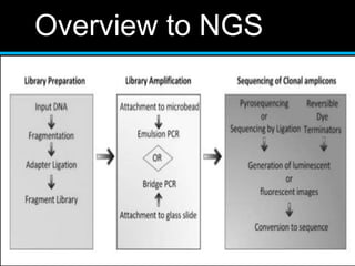 Overview to NGS
 