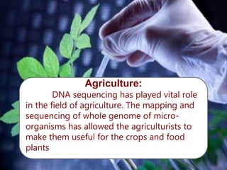 Agriculture:
DNA sequencing has played vital role
in the field of agriculture. The mapping and
sequencing of whole genome of micro-
organisms has allowed the agriculturists to
make them useful for the crops and food
plants.
 