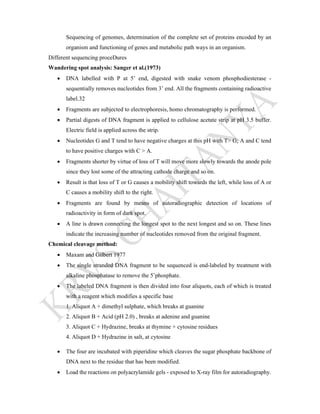 Sequencing of genomes, determination of the complete set of proteins encoded by an
organism and functioning of genes and metabolic path ways in an organism.
Different sequencing proceDures
Wandering spot analysis: Sanger et al.(1973)
 DNA labelled with P at 5’ end, digested with snake venom phosphodiesterase -
sequentially removes nucleotides from 3’ end. All the fragments containing radioactive
label.32
 Fragments are subjected to electrophoresis, homo chromatography is performed.
 Partial digests of DNA fragment is applied to cellulose acetate strip at pH 3.5 buffer.
Electric field is applied across the strip.
 Nucleotides G and T tend to have negative charges at this pH with T> G; A and C tend
to have positive charges with C > A.
 Fragments shorter by virtue of loss of T will move more slowly towards the anode pole
since they lost some of the attracting cathode charge and so on.
 Result is that loss of T or G causes a mobility shift towards the left, while loss of A or
C causes a mobility shift to the right.
 Fragments are found by means of autoradiographic detection of locations of
radioactivity in form of dark spot.
 A line is drawn connecting the longest spot to the next longest and so on. These lines
indicate the increasing number of nucleotides removed from the original fragment.
Chemical cleavage method:
 Maxam and Gilbert 1977
 The single stranded DNA fragment to be sequenced is end-labeled by treatment with
alkaline phosphatase to remove the 5’phosphate.
 The labeled DNA fragment is then divided into four aliquots, each of which is treated
with a reagent which modifies a specific base
1. Aliquot A + dimethyl sulphate, which breaks at guanine
2. Aliquot B + Acid (pH 2.0) , breaks at adenine and guanine
3. Aliquot C + Hydrazine, breaks at thymine + cytosine residues
4. Aliquot D + Hydrazine in salt, at cytosine
 The four are incubated with piperidine which cleaves the sugar phosphate backbone of
DNA next to the residue that has been modified.
 Load the reactions on polyacrylamide gels - exposed to X-ray film for autoradiography.
 