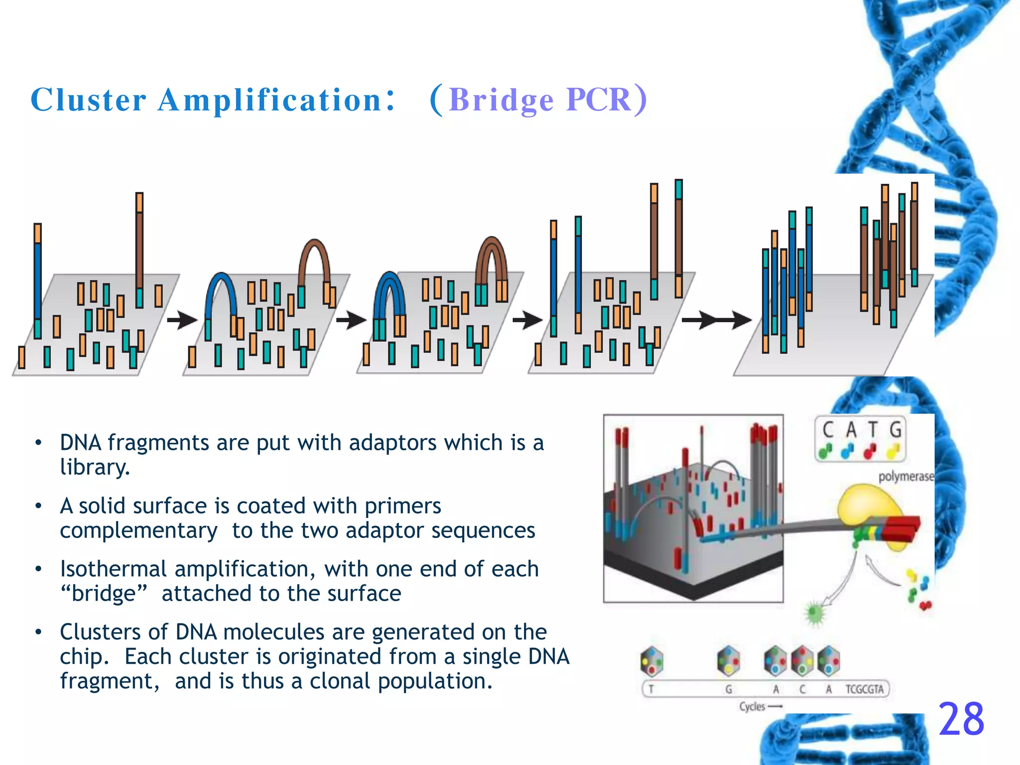 Gene sequencing technique | PPTX