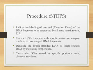 Procedure (STEPS)
• Radioactive labelling of one end (5' end or 3’ end) of the
DNA fragment to be sequenced by a kinase reaction using
32P.
• Cut the DNA fragment with specific restriction enzyme,
resulting in two unequal DNA fragments
• Denature the double-stranded DNA to single-stranded
DNA by increasing temperature.
• Cleave the DNA strand at specific positions using
chemical reactions.
 
