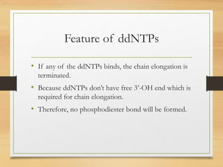 Feature of ddNTPs
• If any of the ddNTPs binds, the chain elongation is
terminated.
• Because ddNTPs don’t have free 3’-OH end which is
required for chain elongation.
• Therefore, no phosphodiester bond will be formed.
 