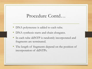 Procedure Contd…
• DNA polymerase is added to each tube.
• DNA synthesis starts and chain elongates.
• In each tube ddNTP is randomly incorporated and
fragments are terminated.
• The length of fragments depend on the position of
incorporation of ddNTPs.
 
