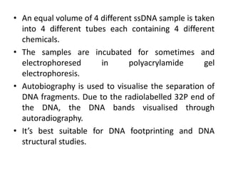 • An equal volume of 4 different ssDNA sample is taken
into 4 different tubes each containing 4 different
chemicals.
• The samples are incubated for sometimes and
electrophoresed in polyacrylamide gel
electrophoresis.
• Autobiography is used to visualise the separation of
DNA fragments. Due to the radiolabelled 32P end of
the DNA, the DNA bands visualised through
autoradiography.
• It’s best suitable for DNA footprinting and DNA
structural studies.
 