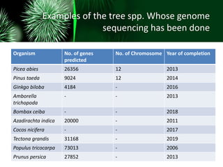Examples of the tree spp. Whose genome
sequencing has been done
Organism No. of genes
predicted
No. of Chromosome Year of completion
Picea abies 26356 12 2013
Pinus taeda 9024 12 2014
Ginkgo biloba 4184 - 2016
Amborella
trichopoda
- - 2013
Bombax ceiba - - 2018
Azadirachta indica 20000 - 2011
Cocos nicifera - - 2017
Tectona grandis 31168 - 2019
Populus tricocarpa 73013 - 2006
Prunus persica 27852 - 2013
 