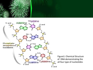 Figure1: Chemical Structure
of DNA demonstrating the
all four type of nucleotides
 
