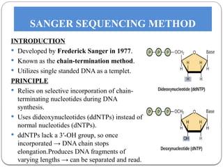Selective Incor Gene Sequencing in Human Cell: The Process | PPTX