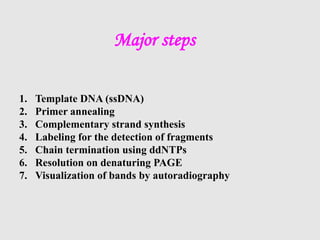 1. Template DNA (ssDNA)
2. Primer annealing
3. Complementary strand synthesis
4. Labeling for the detection of fragments
5. Chain termination using ddNTPs
6. Resolution on denaturing PAGE
7. Visualization of bands by autoradiography
Major steps
 