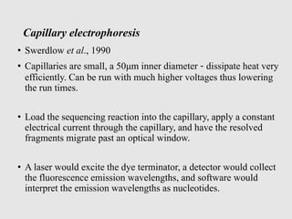 Capillary electrophoresis
• Swerdlow et al., 1990
• Capillaries are small, a 50μm inner diameter - dissipate heat very
efficiently. Can be run with much higher voltages thus lowering
the run times.
• Load the sequencing reaction into the capillary, apply a constant
electrical current through the capillary, and have the resolved
fragments migrate past an optical window.
• A laser would excite the dye terminator, a detector would collect
the fluorescence emission wavelengths, and software would
interpret the emission wavelengths as nucleotides.
 