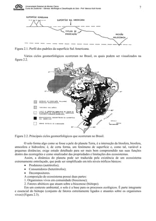 Universidade Estadual de Montes Claros
        Curso de Zootecnia – Gênese, Morfologia e Classificação do Solo - Prof. Marcos Koiti Kondo   7




Figura 2.1. Perfil dos padrões da superfície Sul Americana.

        Vários ciclos geomorfológicos ocorreram no Brasil, os quais podem ser visualizados na
figura 2.2.




Figura 2.2. Principais ciclos geomorfológicos que ocorreram no Brasil.

       O solo forma algo como se fosse a pele do planeta Terra, é a interseção da litosfera, biosfera,
atmosfera e hidrosfera; é, de certa forma, um fenômeno de superfície e, como tal, variável a
pequenas distâncias; exige estudo detalhado para ser mais bem compreendido nas suas funções
dentro das ecorregiões e como sinalizador das propriedades e limitações dos ecossistemas.
        Assim, a dinâmica do planeta pode ser traduzida pela existência de um ecossistema
extremamente entrelaçado, que pode ser simplificado em três níveis tróficos básicos:
         Produtores (autótrofos);
         Consumidores (heterótrofos);
         Decompositores.
        A composição do ecossistema possui duas partes:
        1. Organismos vivos em comunidade (biocenose);
        2. Fatores abióticos que atuam sobre a biocenose (biótopo).
        Em um contexto ambiental, o solo é a base para os processos ecológicos. É parte integrante
e essencial do biótopo (conjunto de fatores estreitamente ligados e atuantes sobre os organismos
vivos) (Figura 2.3).
 