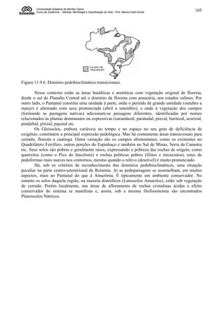 Universidade Estadual de Montes Claros
        Curso de Zootecnia – Gênese, Morfologia e Classificação do Solo - Prof. Marcos Koiti Kondo   105




Figura 11.9.6. Domínio pedobioclimático transicionais.

        Nesse contexto estão as áreas basálticas e areníticas com vegetação original de floresta,
desde o sul do Planalto Central até o domínio da floresta com araucária, nos estados sulinos. Por
outro lado, o Pantanal constitui uma unidade à parte, onde o período de grande umidade (outubro a
março) é alternado com seca pronunciada (abril a setembro), e onde à vegetação dos campos
(formando as pastagens nativas) adicionam-se paisagens diferentes, identificadas por nomes
relacionados às plantas dominantes ou expressivas (carandazal, paratudal, piuval, buritizal, acurizal,
pindaibal, pirizal, pajonal etc.
        Os Gleissolos, embora variáveis no tempo e no espaço no seu grau de deficiência de
oxigênio, constituem a principal expressão pedológica. Mas há comumente áreas transicionais para
cerrado, floresta e caatinga. Outra variação são os campos altimontanos, como os existentes no
Quadrilátero Ferrífero, outras porções do Espinhaço e também no Sul de Minas, Serra da Canastra
etc. Seus solos são pobres e geralmente rasos, expressando a pobreza das rochas de origem, como
quartzitos (como o Pico do Itacolomi) e rochas pelíticas pobres (filitos e micaxistos), estes de
pedoformas mais suaves nos contornos, mesmo quando o relevo (desnível) é muito pronunciado.
        Há, sob os critérios de reconhecimento dos domínios pedobioclimáticos, uma situação
peculiar na parte centro-setentrional de Roraima. Aí as pedopaisagens se assemelham, em muitos
aspectos, mais ao Pantanal do que à Amazônia. É tipicamente um ambiente conservador. No
entanto os solos daquela região, na maioria distróficos (Latossolos Amarelos), estão sob vegetação
de cerrado. Porém localmente, nas áreas de afloramento de rochas cristalinas ácidas o efeito
conservador do sistema se manifesta e, assim, sob a mesma fitofisionomia são encontrados
Planossolos Nátricos.
 