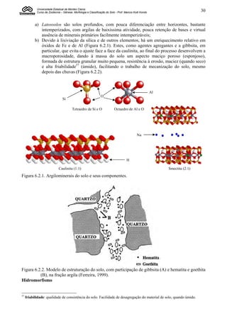 Universidade Estadual de Montes Claros
            Curso de Zootecnia – Gênese, Morfologia e Classificação do Solo - Prof. Marcos Koiti Kondo                         30


           a) Latossolos são solos profundos, com pouca diferenciação entre horizontes, bastante
              intemperizados, com argilas de baixíssima atividade, pouca retenção de bases e virtual
              ausência de minerais primários facilmente intemperizáveis;
           b) Devido à lixiviação da sílica e de outros elementos, há um enriquecimento relativo em
              óxidos de Fe e de Al (Figura 6.2.1). Estes, como agentes agregantes e a gibbsita, em
              particular, que evita o ajuste face a face da caulinita, ao final do processo desenvolvem a
              macroporosidade, dando à massa do solo um aspecto maciço poroso (esponjoso),
              formada de estrutura granular muito pequena, resistência à erosão, maciez (quando seco)
              e alta friabilidade37 (úmido), facilitando o trabalho de mecanização do solo, mesmo
              depois das chuvas (Figura 6.2.2).



                                                                                                         Al
                                                                O
                                Si

                                        Tetraedro de Si e O                Octaedro de Al e O




                                                                                             Na




                                                                                     H

                             Caulinita (1:1)                                                                  Smectita (2:1)
Figura 6.2.1. Argilominerais do solo e seus componentes.




Figura 6.2.2. Modelo de estruturação do solo, com participação de gibbsita (A) e hematita e goethita
          (B), na fração argila (Ferreira, 1999).
Hidromorfismo


37
     friabilidade: qualidade de consistência do solo. Facilidade de desagregação do material de solo, quando úmido.
 