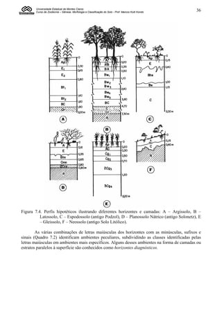 Universidade Estadual de Montes Claros
        Curso de Zootecnia – Gênese, Morfologia e Classificação do Solo - Prof. Marcos Koiti Kondo   36




Figura 7.4. Perfis hipotéticos ilustrando diferentes horizontes e camadas: A – Argissolo, B –
          Latossolo, C – Espodossolo (antigo Podzol), D – Planossolo Nátrico (antigo Solonetz), E
          – Gleissolo, F – Neossolo (antigo Solo Litólico).

        As várias combinações de letras maiúsculas dos horizontes com as minúsculas, sufixos e
sinais (Quadro 7.2) identificam ambientes peculiares, subdividindo as classes identificadas pelas
letras maiúsculas em ambientes mais específicos. Alguns desses ambientes na forma de camadas ou
estratos paralelos à superfície são conhecidos como horizontes diagnósticos.
 