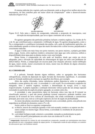 Universidade Estadual de Montes Claros
         Curso de Zootecnia – Gênese, Morfologia e Classificação do Solo - Prof. Marcos Koiti Kondo              48


       O sistema radicular dos vegetais, pela sua dimensão, pode se desenvolver melhor através dos
macroporos, tal fato contribui para um maior efeito da compactação47 sobre o desenvolvimento
radicular (Figura 8.4.2).




Figura 8.4.2. Solo antes e depois de compactado, reduzindo a proporção de macroporos, com
          elevação da microporosidade, que leva a água e nutrientes até as raízes.

        Os agentes agregantes das partículas primárias incluem a matéria orgânica, Ca, óxidos de Fe
e de Al, que contribuem para o arejamento e infiltração de água. Os agentes desagregantes, como o
Na, a compactação e a puddlagem (orientação das argilas, sob a ação de implementos agrícolas, em
solos trabalhados quando os teores de água são muito elevados) têm o efeito inverso, prejudicando o
crescimento radicular.
        A água é retida com mais força nos poros menores, nos poros maiores, a própria gravidade
retira a água. Assim, solos argilosos tendem a armazenar mais água que solos arenosos, embora a
disponibilidade desta água para as plantas muitas vezes seja limitada.
        Dessa forma, a compactação do solo pode ser benéfica, desde que esteja em níveis
adequados, para a elevação da capacidade de armazenagem de água em solos com problemas de
déficit hídrico. Porém, a compactação em excesso pode criar situações adversas: menor infiltração
de água, maior erosão, menor crescimento de raízes, menor taxa de difusão de alguns elementos
como o fósforo, entre outros.

8.5. CEROSIDADE

        É a película, formada durante alguns milênios, sobre os agregados dos horizontes
subsuperficiais, oriunda da deposição de argila iluviada dos horizontes superficiais. A cerosidade
pode ser formada também pelo rearranjo na superfície dos blocos, por exemplo.
        Além das argilas silicatadas, outras substâncias podem depositar-se sobre os agregados,
recebendo o nome genérico de cutãs. A cerosidade é o cutã argilã. Os revestimentos compostos de
manganês, ferro e matéria orgânica, recebem a denominação de mangã, ferrã e orgã,
respectivamente. A própria expansão e contração (horizonte vértico) pode dar um arranjo especial
(orientado) às partículas de argila do próprio agregado, no contato entre eles.
        A cerosidade é uma característica típica do horizonte nítico (um tipo de B textural na
classificação anterior), o qual não possui gradiente textural expressivo, podendo também estar
presente no B textural do novo sistema de classificação, não sendo considerada a característica
principal, pois neste caso, tem-se a elevação expressiva do teor de argila em profundidade.
        As raízes das plantas encontram algum obstáculo com a cerosidade, porém, esta película tem
importância na difusão de elementos como o P e o K.
        Assim, pode-se fazer as seguintes comparações:
    a) os blocos, através da contração (quando o solo está secando), tendem a se separar uns dos
        outros sempre no mesmo lugar. Dessa forma, a cerosidade é a resultante de um processo
        acumulativo;
    b) a atividade biológica tende a destruir a cerosidade, tornando-se predominante na parte
        inferior do perfil, principalmente em solos ricos em óxidos de Fe e de Al;
47
  compactação: diminuição do volume do solo ocasionada por compressão, causando um rearranjamento mais denso
das partículas do solo e conseqüente redução do espaço poroso. A compactação resulta da ação antrópica, ao contrário
do adensamento que é um fenômeno natural.
 