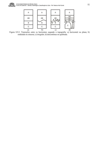 Universidade Estadual de Montes Claros
       Curso de Zootecnia – Gênese, Morfologia e Classificação do Solo - Prof. Marcos Koiti Kondo                      52


                             A                        A                        A                             A

                                                                                                             AB
                            AB                       AB                       AB
                                                                                                             B1
                                                                                                             B2   BC
                             B                        B                        B                    BC

                                                                                                         C
                             C                        C                        C                                  C
                     a)                b)                c)              d)
Figura 8.9.2. Transições entre os horizontes segundo a topografia: a) horizontal ou plana; b)
          ondulada ou sinuosa; c) irregular; d) descontínua ou quebrada.
 