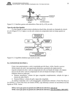 Universidade Estadual de Montes Claros
        Curso de Zootecnia – Gênese, Morfologia e Classificação do Solo - Prof. Marcos Koiti Kondo   55




Figura 9.1.2. Interface gasosa solo-atmosfera e fluxo de O2 e CO2 no solo.

Água do solo (fase líquida)
        É a fase líquida, na qual existem substâncias dissolvidas, devendo ser chamada de solução
do solo (Figura 9.1.3). A água e o ar do solo variam em composição tanto no tempo quanto no
espaço.




Figura 9.1.3. Equilíbrio dinâmico que ocorre no solo.


9.2. CONSTITUIÇÃO FÍSICA

        Como visto anteriormente, o solo é constituído por três fases: sólida, líquida e gasosa.
        Sólida (matriz do solo): sua organização determina a geometria do espaço poroso;
        Líquida (solução do solo): varia na composição do solo em função do tempo e do espaço;
        Gasosa (ar do solo): varia na composição do solo em função do tempo e do espaço.
        Podemos observar ainda que:
         Sistema monofásico: volume de água congelada completamente; solução de água e
            cloreto de sódio (NaCl)
         Sistema bifásico: volume de gelo e água não congelada;
        As análises realizadas com o solo desagregado, normalmente utilizam a Terra Fina Seca ao
Ar (TFSA) e a Terra Fina Seca em Estufa (TFSE), cuja diferença consiste na inexistência da fase
líquida na TFSE. Assim:

       TFSA: terra que passa na peneira de 2,00 mm de abertura, seca ao ar.
       TFSE: terra que passa na peneira de 2,00 mm de abertura, seca em estufa a 105-110ºC.
 