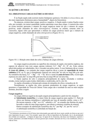 Universidade Estadual de Montes Claros
         Curso de Zootecnia – Gênese, Morfologia e Classificação do Solo - Prof. Marcos Koiti Kondo                 75


10. QUÍMICA DO SOLO

10.1. ORIGEM DAS CARGAS ELÉTRICAS DO SOLO

        É na fração argila onde ocorrem muitos fenômenos químicos. Um deles é a troca iônica, um
dos mais importantes fenômenos para a humanidade50, depois da fotossíntese.
        Na natureza, existem duas cargas: positiva e negativa. A fração argila e outras frações como
silte, por exemplo, em menor quantidade, podem apresentar essas duas cargas. A maioria dos solos
na crosta terrestre apresenta o número de cargas negativas maior do que o número de cargas
positivas, sendo chamados de solos eletronegativos. Existem, no entanto, somente entre os
Latossolos, alguns solos que apresentam o número de cargas positivas maior que o número de
cargas negativas, sendo chamados de solos eletropositivos (Figura 10.1.1).




Figura 10.1.1. Relação entre idade dos solos e balanço de cargas elétricas.

        As cargas negativas presentes na superfície dos minerais de argila e da matéria orgânica, são
capazes de adsorver íons com cargas opostas (cátions): Ca2+, Mg2+, K+, H+ etc. Estes cátions
adsorvidos podem ser substituídos, isto é, trocados uns pelos outros. A esse fenômeno dá-se o nome
de troca de cátions, e ao conjunto das cargas negativas dá-se o nome de capacidade de troca
catiônica (CTC ou T), que é normalmente expressa em cmolc/dm3 de solo ou meq/100 g de solo.
Ao somatório das bases, Ca2+ + Mg2+ + K+ + Na+ dá-se o nome de soma de bases (SB), via de regra
expressa em cmolc/dm3 ou meq/100 g de terra fina ou meq/100 cm3 de terra fina.
        A fração argilosa do solo é composta principalmente de argilas silicatadas e oxídicas
(óxidos, termo inclusivo para óxidos, hidróxidos e oxidróxidos, de Fe e de Al).
        As argilas silicatadas se formam pelo arranjo de tetraedros de sílica e octaedros de Al.
        Normalmente, as argilas dos solos possuem predomínio de cargas negativas, as quais
permitem a Capacidade de Troca de Cátions. Estas cargas são o resultado de uma ou mais reações
distintas, descritas a seguir.

Cargas negativas
      As cargas elétricas negativas da argila surgem principalmente a partir de três situações:
      a) Substituição isomórfica: é a maior fonte de cargas negativas para argilas 2:1. Parte do
         silício nas lâminas tetraédricas é substituído por íons de tamanho similar, como o Al3+.
         Da mesma maneira, o Mg2+ ou o Fe2+ substitui o Al3+ no octaedro das lâminas de argila,
         havendo a sobra de uma carga negativa, sem alterar a estrutura cristalina do mineral.
         Outros exemplos de substituição isomórfica são: Fe3+ por Mg2+; K+ por Na+ ou Ca2+.
         A substituição isomórfica é controlada em função do:

50
  Os fenômenos encontram-se de tal forma inter-relacionados que pode não haver muito sentido em dizer-se que um é
mais importante do que o outro. Um exemplo: quase não se fala na importância da floculação, isto é, da precipitação
dos colóides em suspensão – a limpeza da água suja. As águas do rio Amazonas, não fosse esse fenômeno, sujariam o
oceano, alterariam a atividade biológica, as trocas gasosas (por exemplo, absorção de CO2) e isso modificaria, talvez, a
vida na Terra.
 