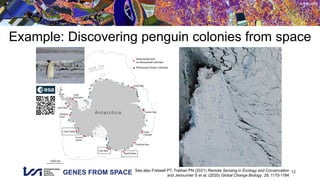 GENES FROM SPACE
© RSL UZH
Example: Discovering penguin colonies from space
12
See also Fretwell PT, Trathan PN (2021) Remote Sensing in Ecology and Conservation
and Jenouvrier S et al. (2020) Global Change Biology, 26, 1170-1184
 