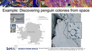 GENES FROM SPACE
© RSL UZH
Example: Discovering penguin colonies from space
13
See also Fretwell PT, Trathan PN (2021) Remote Sensing in Ecology and Conservation
and Jenouvrier S et al. (2020) Global Change Biology, 26, 1170-1184
 