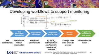 GENES FROM SPACE
© RSL UZH
Map
population
boundaries
Populations
maintained
Proportion
with Ne>500
Monitor
change
Targeted re-
assessment
and action
14
Developing workflows to support monitoring
Spatial data,
habitat
information
Historical
satellite data
Nc (or Ne)
estimate from
area*density,
models, or
features
Change over
time (days to
weeks)
EO
contributes:
Information for
action
Schuman MC, Roeoesli C, et al. (2023) EcoEvoRxiv, doi:10.32942/X2ZP53
ISSI Genes from Space team, in preparation
 