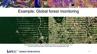 GENES FROM SPACE
© RSL UZH
Example: Global forest monitoring
6
Rondônia, Brasil, Landsat 5, 08 July 1989 (left) and Sentinel-2, 29 June 2022 (right), 30 m
See also Global Forest Watch initiative (https://www. globalforestwatch.org/)
 