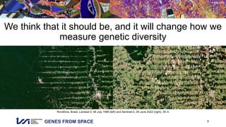 GENES FROM SPACE
© RSL UZH
We think that it should be, and it will change how we
measure genetic diversity
9
Rondônia, Brasil, Landsat 5, 08 July 1989 (left) and Sentinel-2, 29 June 2022 (right), 30 m
 